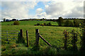 Syonfin Townland