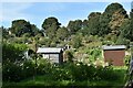 Allotments at Spring Road, Ipswich