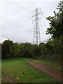 Pylon Path