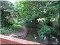 Wall Heath Stream