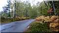 NH3756 : Autumn colour on the road between Loch Achiltie and the Meig dam by Gordon Brown