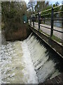 SU9949 : Guildford - Tumbling Bay Weir by Colin Smith