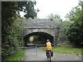 Sawmills Lane, Dorchester; railway bridge over path