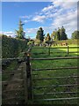 Footpath approaching cemetery, Goostrey