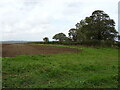 Farmland near Field House Farm