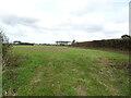 Field and hedgerow off Wells Road