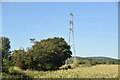 Pylon near Broadbridge