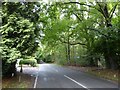 Road and path crossroads, Forest Road