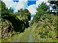 Cutting made for private access road to a farm from the A26 through a rocky outcrop