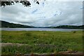 Shore of Llyn Tegid