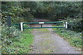 Gate at end of forest road, Cwm Gyddon