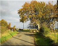 NS7242 : Tweedieside road-end by Alan O'Dowd