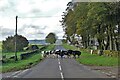 Milking time at High Needham Farm