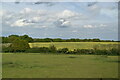 TL2421 : Farmland by Stevenage Rd by N Chadwick