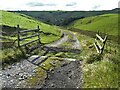 Track to Roundknow at Dove Head