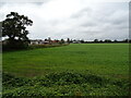 Grassland off Water Moor Lane, Fakenham