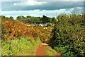 Coast path above St Mary