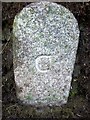 SX0671 : Old Boundary Marker by R Hanns