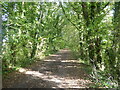 Forest Way near Groombridge