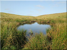 SE8291 : Dundale  Pond  near  Levisham by Martin Dawes