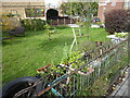 Putney Community Gardens