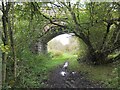 Bridge over former railway near Kerchesters