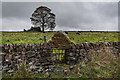 Fantastic Sheep Hole, Goldstich Moor