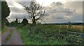 Track and bridleway at Low Habberley Farm