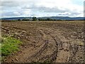 Arable field at Walton