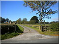 Track into Priestwood Farm