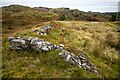 NR8197 : Rock outcrop on Ballygowan Fort by Patrick Mackie