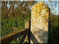 A sparkling gatepost