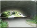 Underpass with graffiti, A354, near Nottington