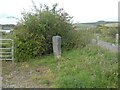 Commemorative stone by cycle route near Upwey