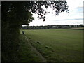 Field south of Lower Vicarwood Farm