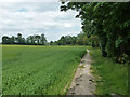 Footpath towards Blackbirds Farm