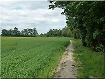 TQ1499 : Footpath towards Blackbirds Farm by Robin Webster