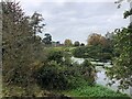 SJ8472 : View across lake to Capesthorne Hall by Philip Cornwall