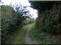 Public footpath east of Heage