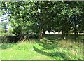 Path along the north edge of the Green, Christchurch