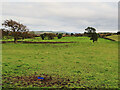 Fields near Rogerhill farm, Blackwood