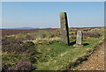 NZ6102 : An old boundary stone and the remains of a wayside cross, Greenhow Moor by habiloid
