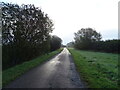 TF2663 : Wood Enderby Lane by JThomas