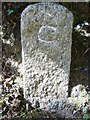 Old Boundary Marker