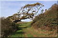 Above Brighstone