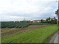 Cabbage field towards Gauntlet Farm