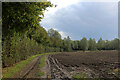 Track beside the River Blackwater