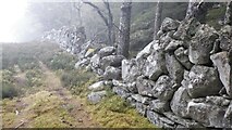 NH5775 : Ruined dyke near the summit of Cnoc na SrÃ²ine by Richard Webb