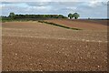 Arable farmland