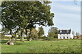 House and oak trees, Little Horton